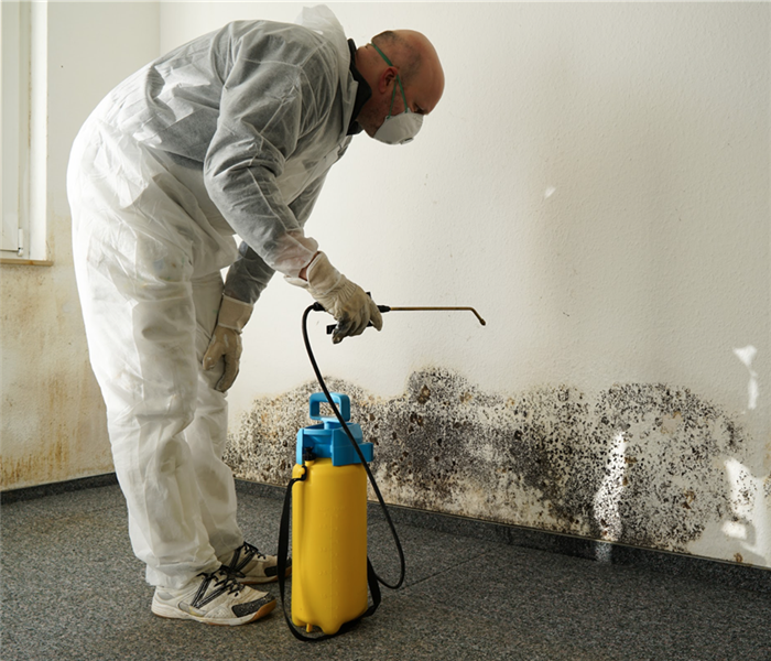 Technician wearing protective gear while removing mold