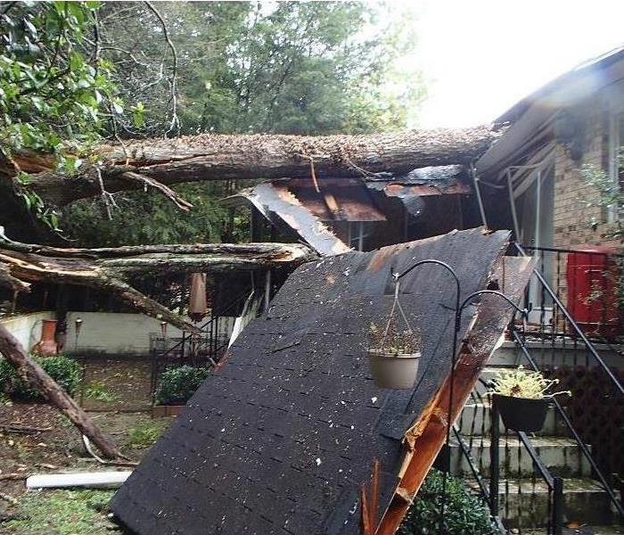 Tree fallen in a house