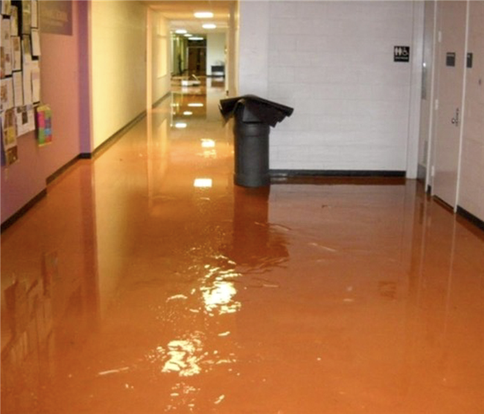 Standing water in a commercial building.