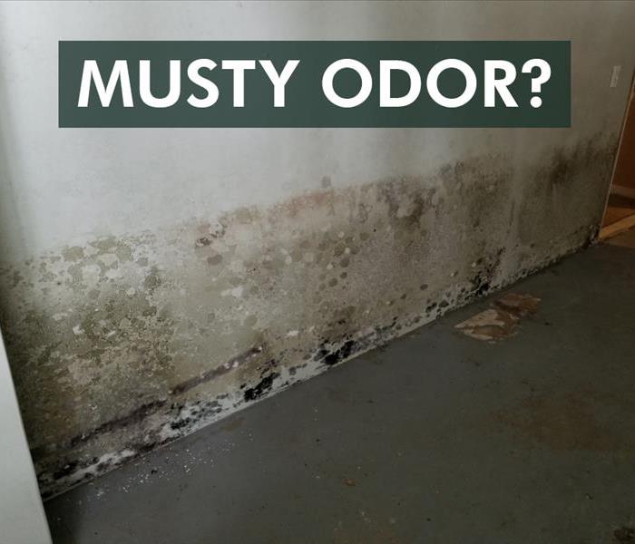 Wall in Hendersonville, NC with mold growth and the phrase MUSTY ODOR
