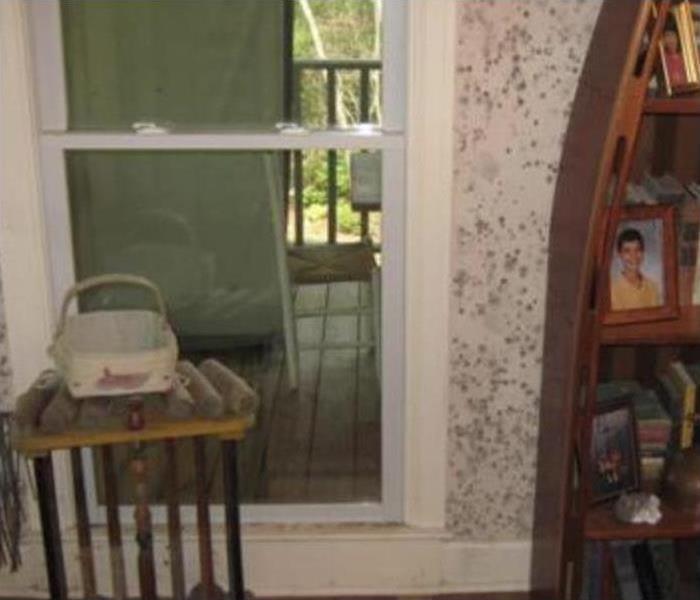 Severe mold growth on the walls of a home