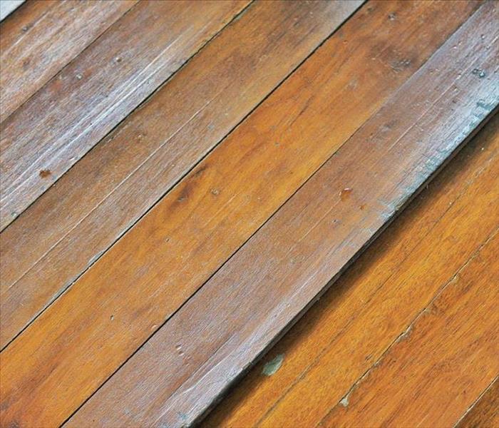 Wood floors buckling.