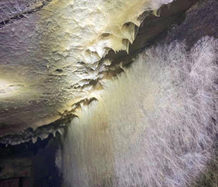 Servere mold growth in the crawl space of a Hendersonville home